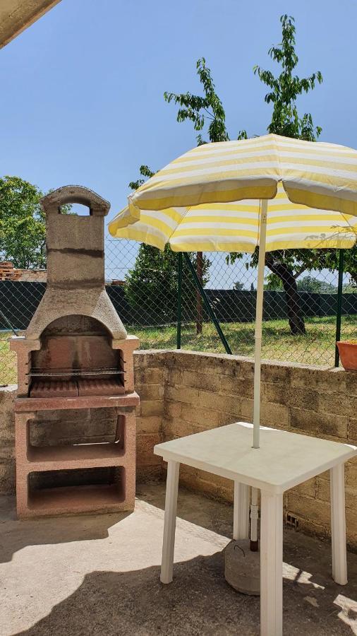 Casa Ciuffina Bed & Breakfast Civitella Casanova Exterior foto