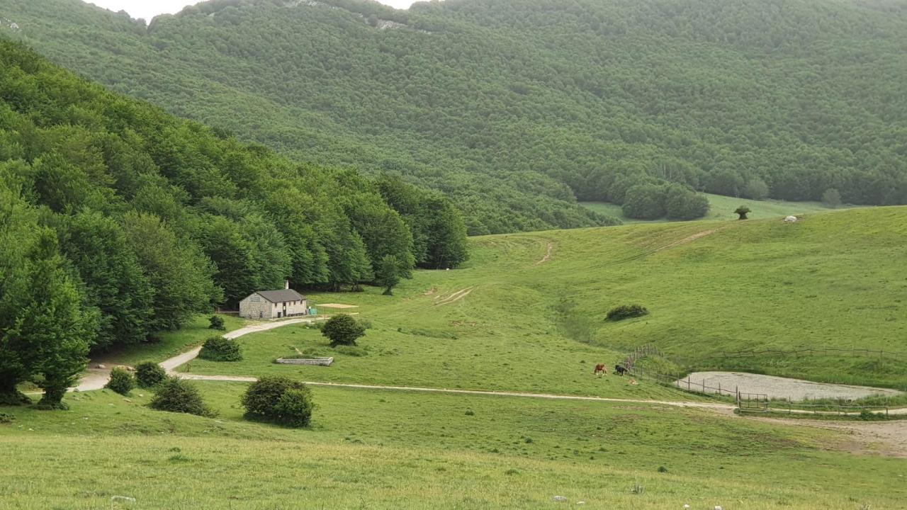 Casa Ciuffina Bed & Breakfast Civitella Casanova Exterior foto